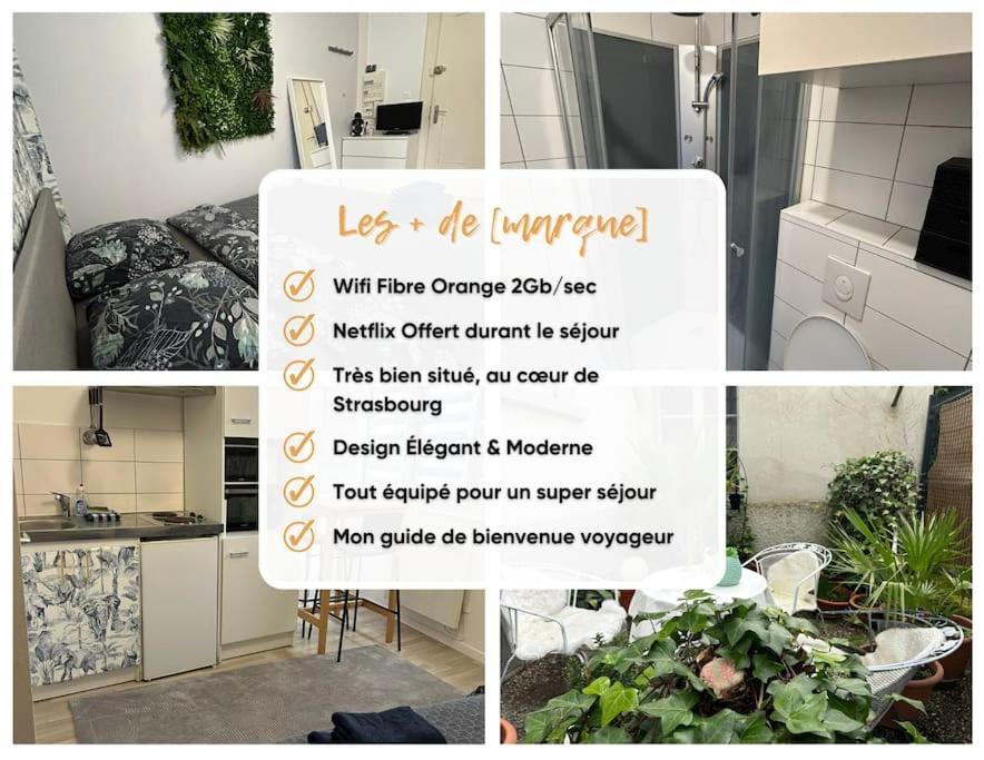 Studio Proche Du Centre-Ville Страсбург Екстериор снимка